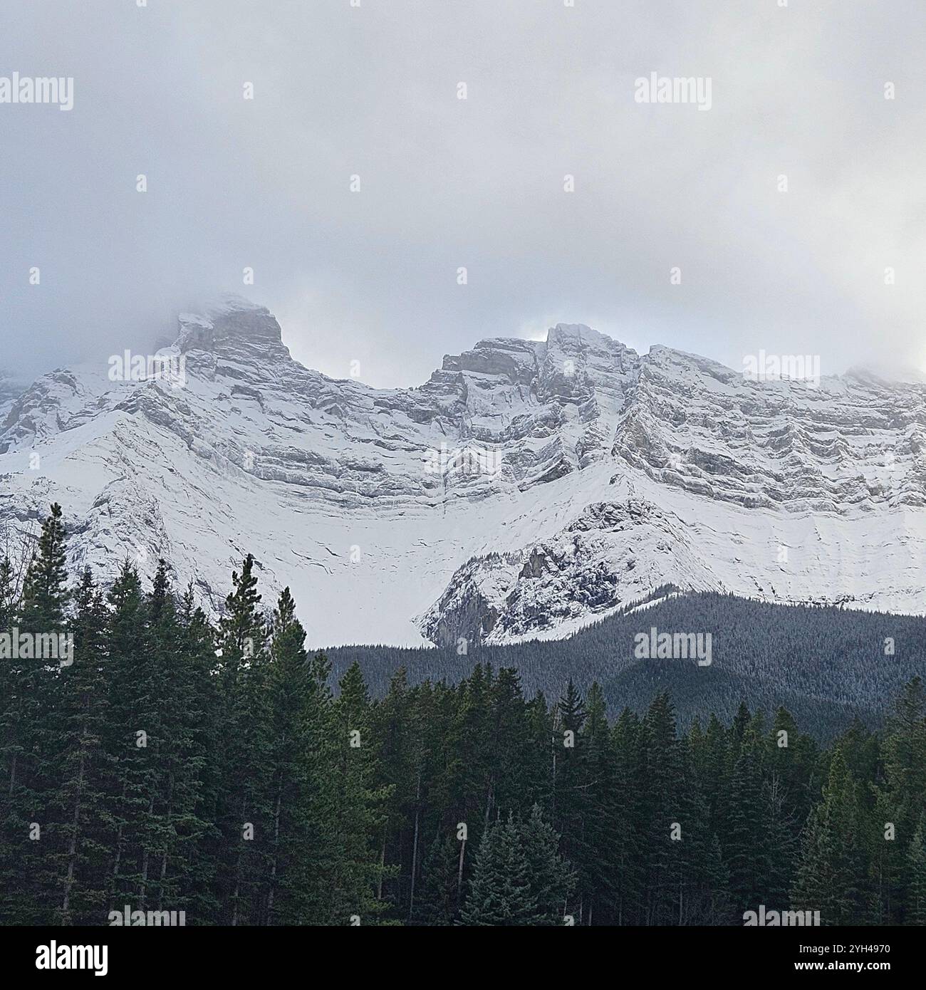 On way to a scenic wonder - Jasper - Smartphone Captured Stock Image