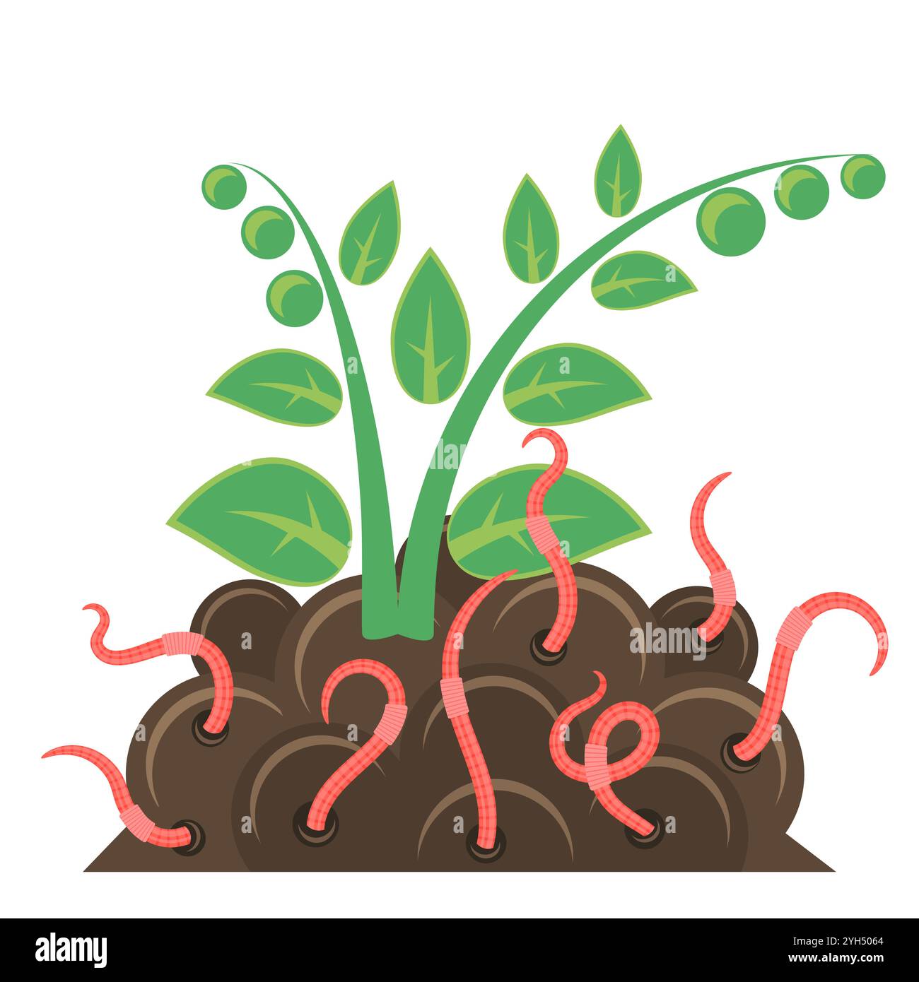 Vermicomposting vector vectors Stock Vector Images - Alamy, image size:1300x1390