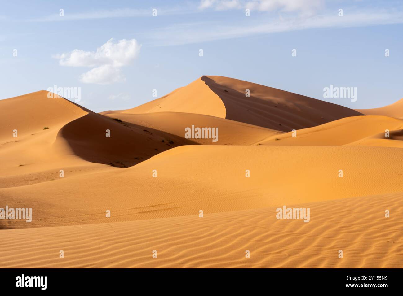 View of Sahara Desert in Morocco, Africa Stock Photo - Alamy