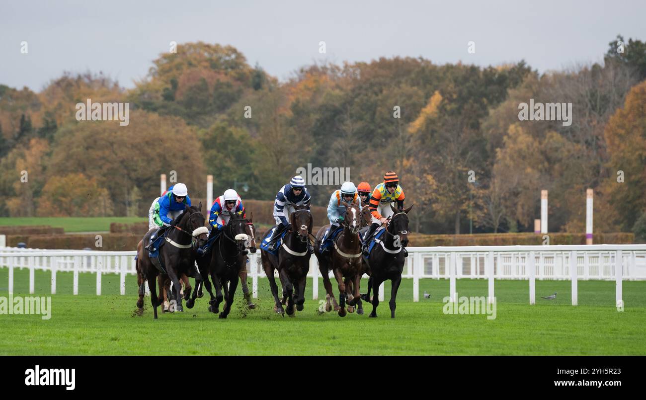 Jumpos racing returns to Ascot Racecourse for the 2024/25 Season. Credit JTW Equine Images / Alamy. Stock Photo