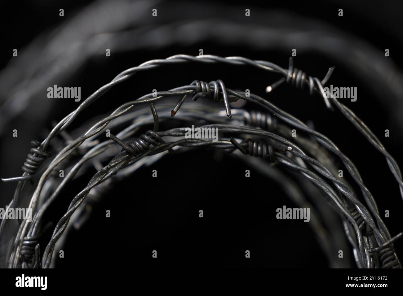 Concertina wire coiled spiked barbwire spikes. Stock Photo