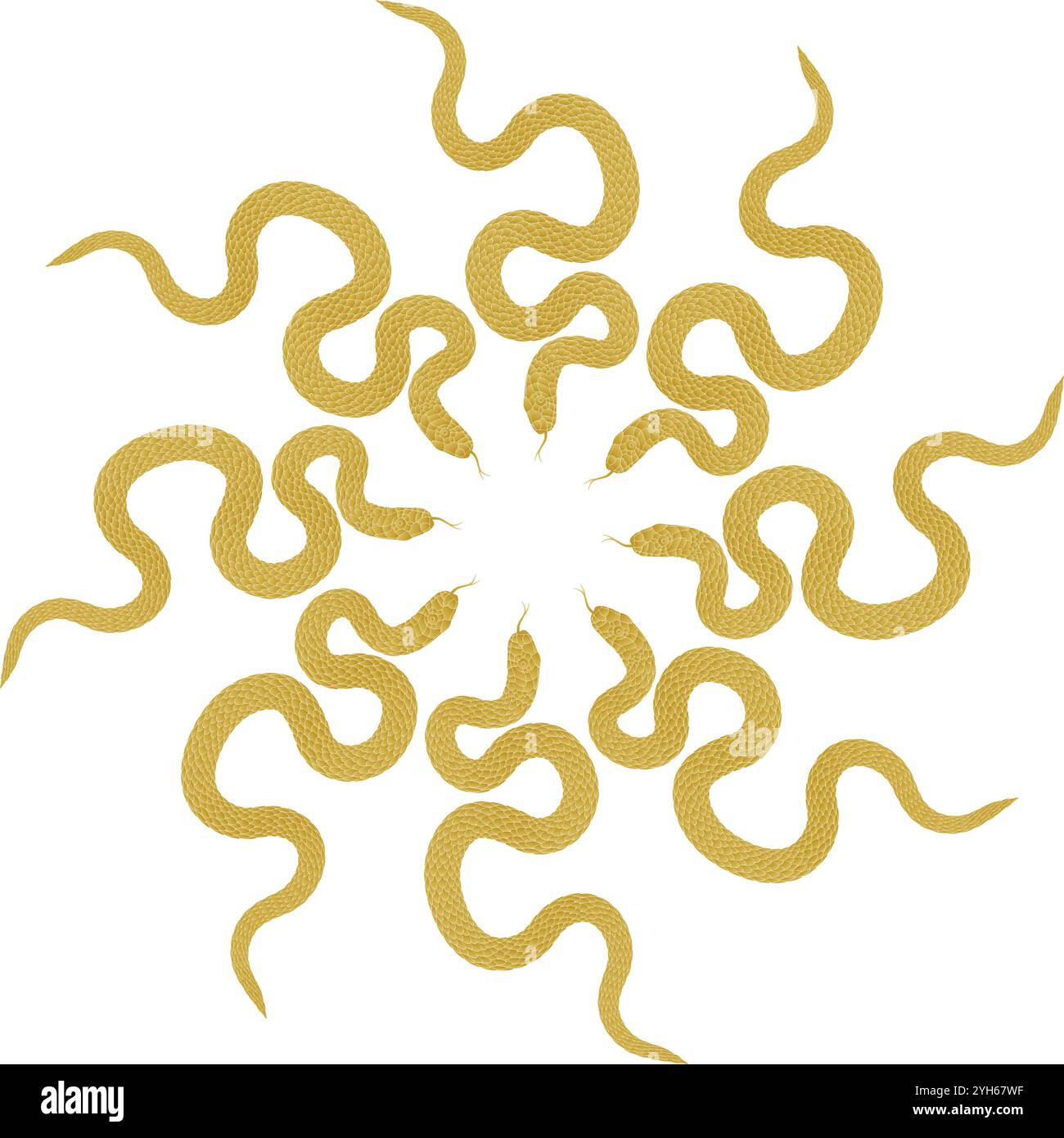 Composition of golden snake pattern on white background Stock Vector ...
