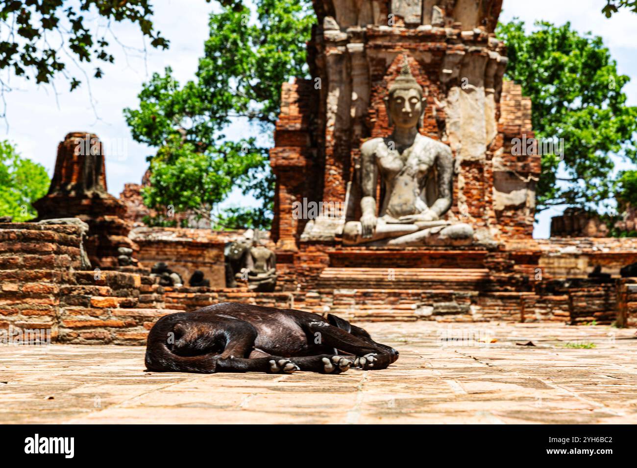 Timeless relics hi-res stock photography and images - Alamy