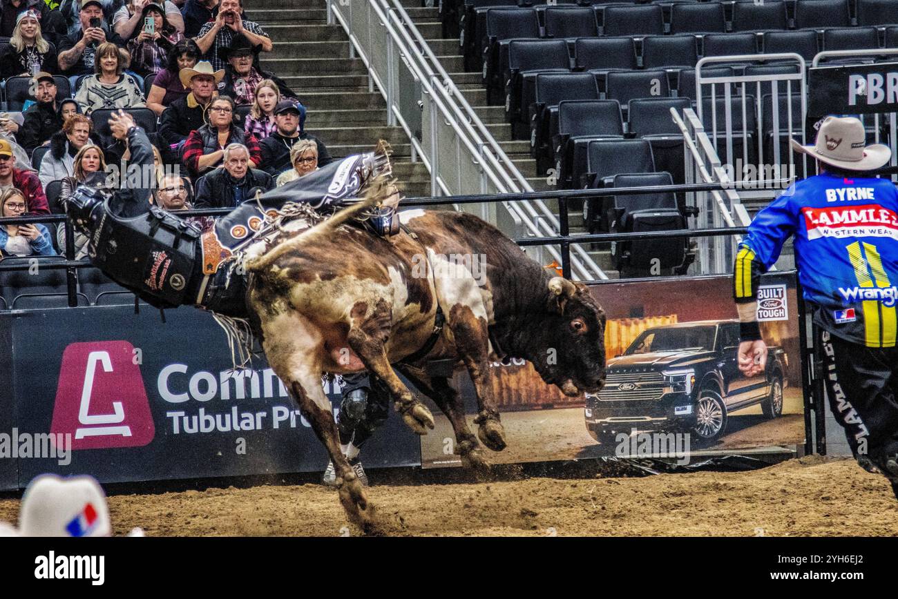 Bull rider from behind hi-res stock photography and images - Alamy