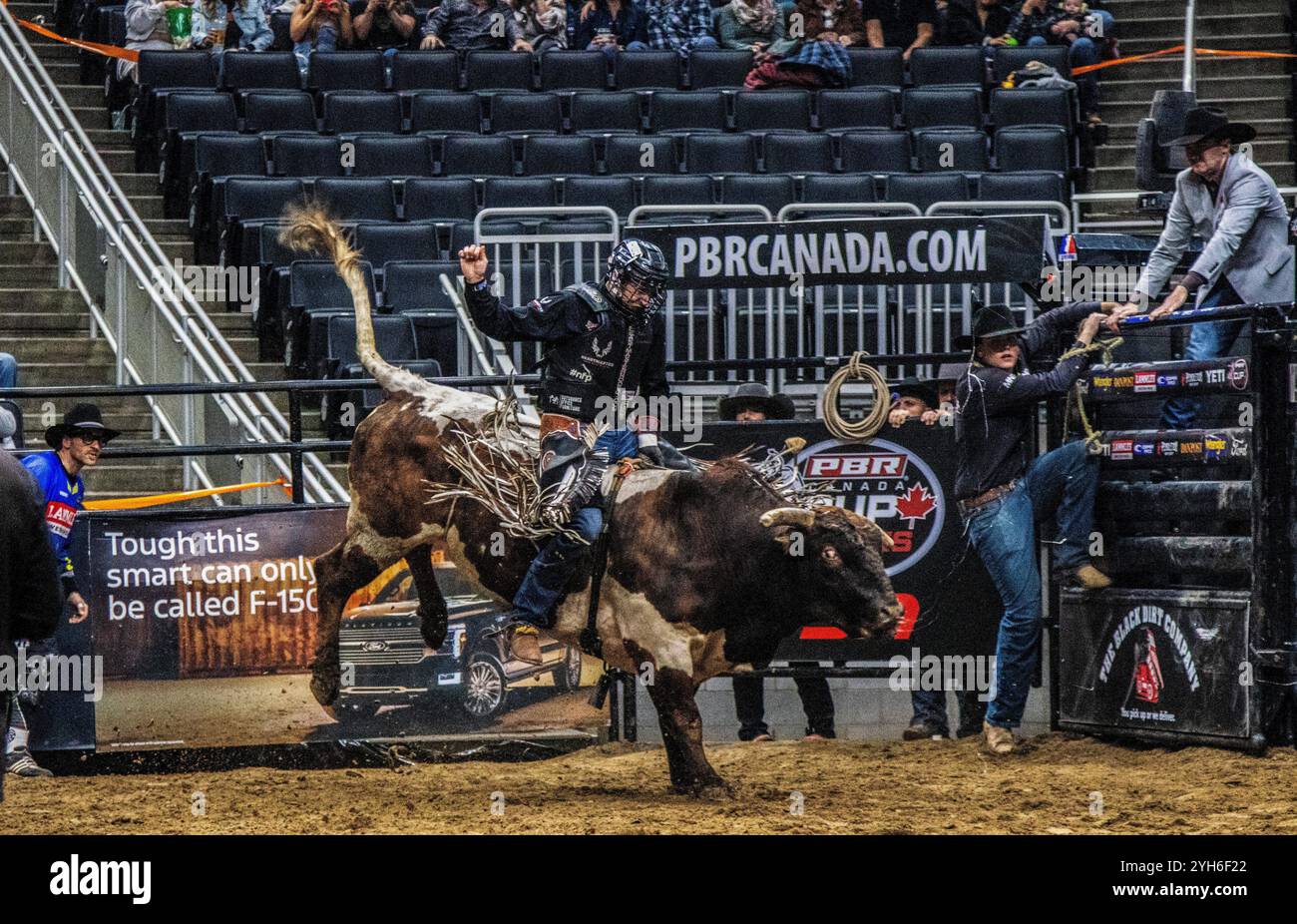 Bull Rider Back Number Bull ride from behind hi-res stock photography and images - Alamy