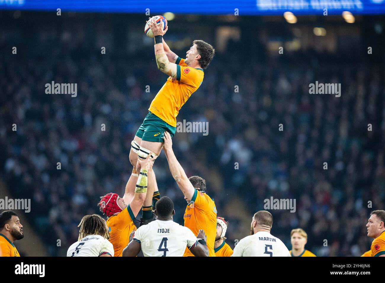 Nick Frost of Australia during the Autumn Nations Series 2024 rugby