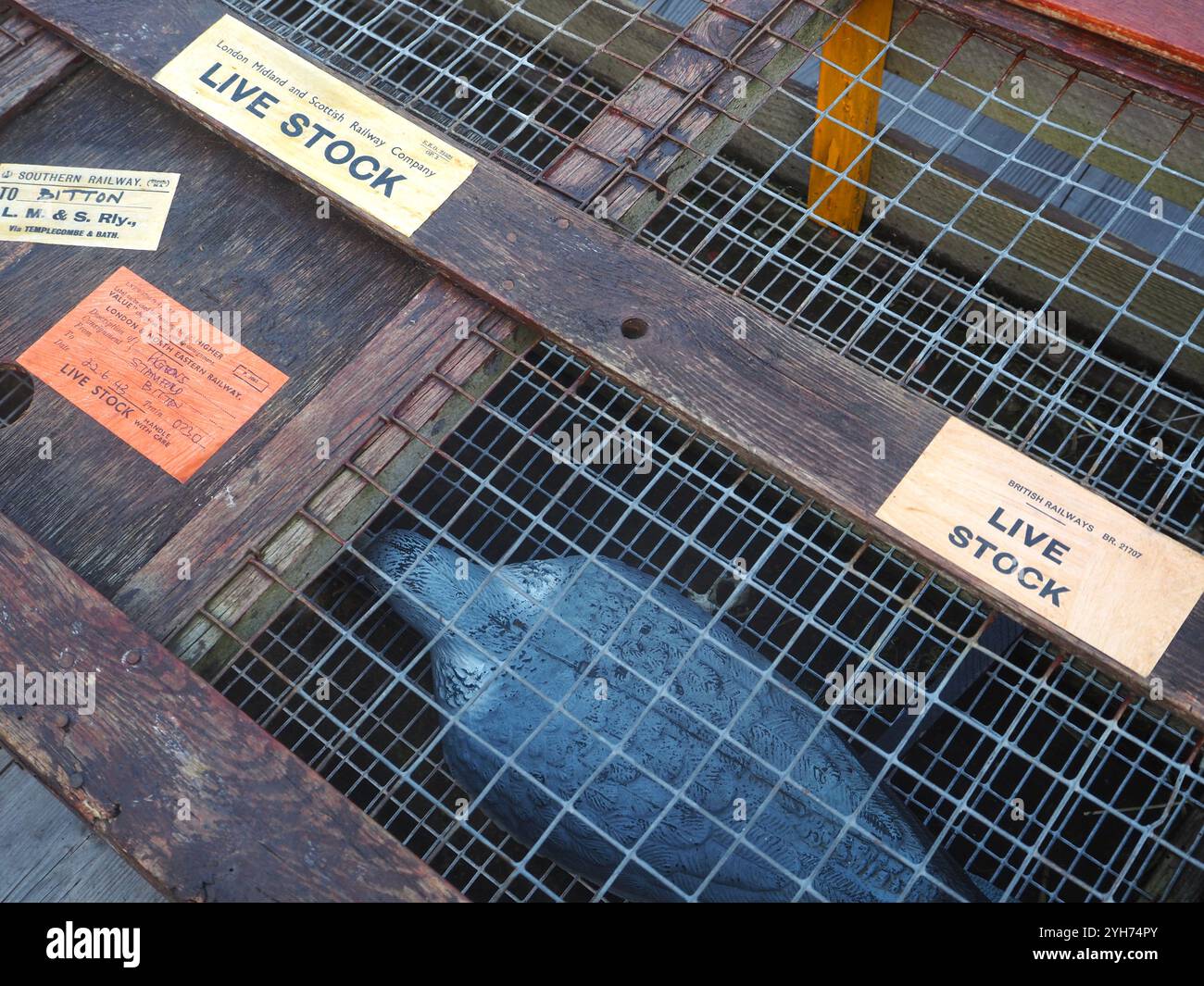 British Railways vintage livestock cage loaded with model pigeons labelled for carriage at Bitton railway station on the Avon Valley Heritage Railway Stock Photo