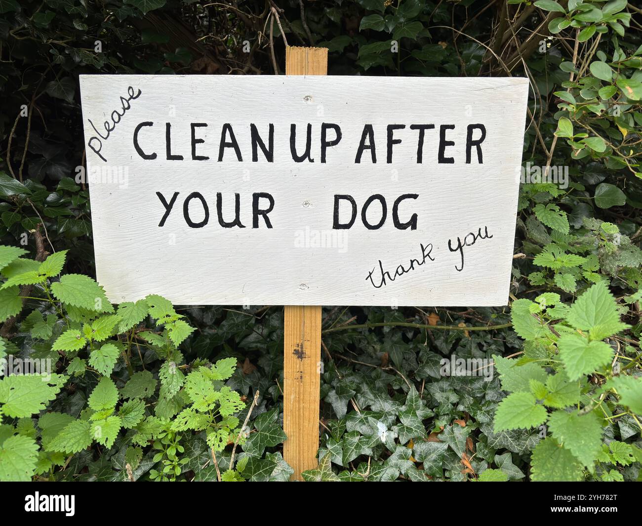 Clean up after your dog homemade sign, Sutton, Suffolk, England, UK - Smartphone Captured Stock Image