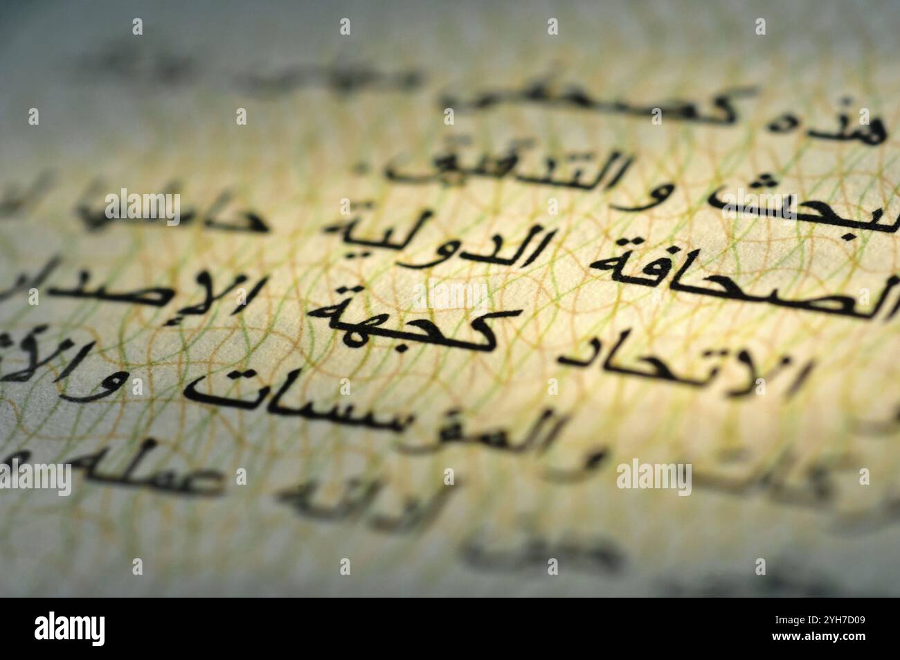 Close-up of an Arabic text in an international press card. The chapter refers to the request to authorities, institutions and companies to support jou Stock Photo