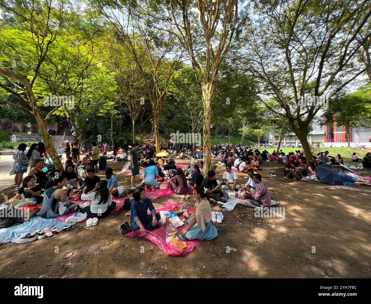 Large scale gathering of domestic foreign workers in the field enjoying their Sunday off day. Having picnic, unwind, catch up with friends. Singapore. - Smartphone Captured Stock Image
