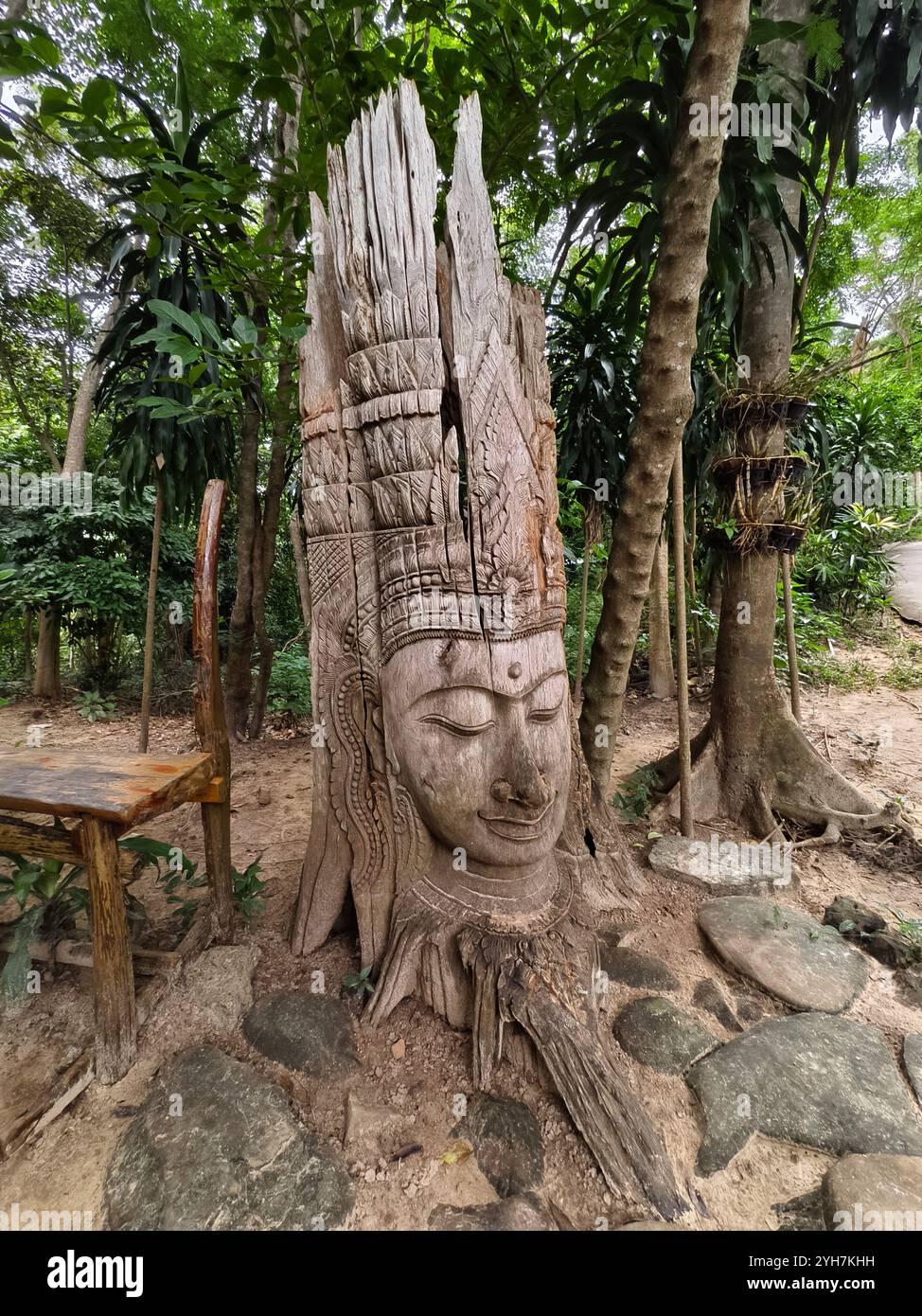 A stunning and beautiful tree sculpture showcasing a serene face Stock ...