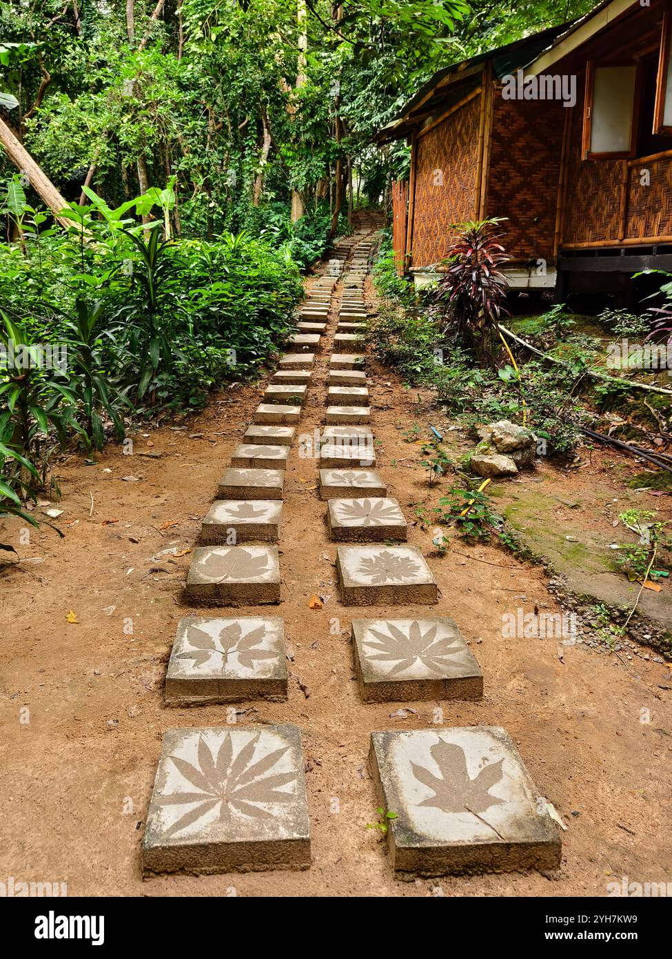 Beautiful stone slabs with leaf patterns blend nature Stock Photo - Alamy