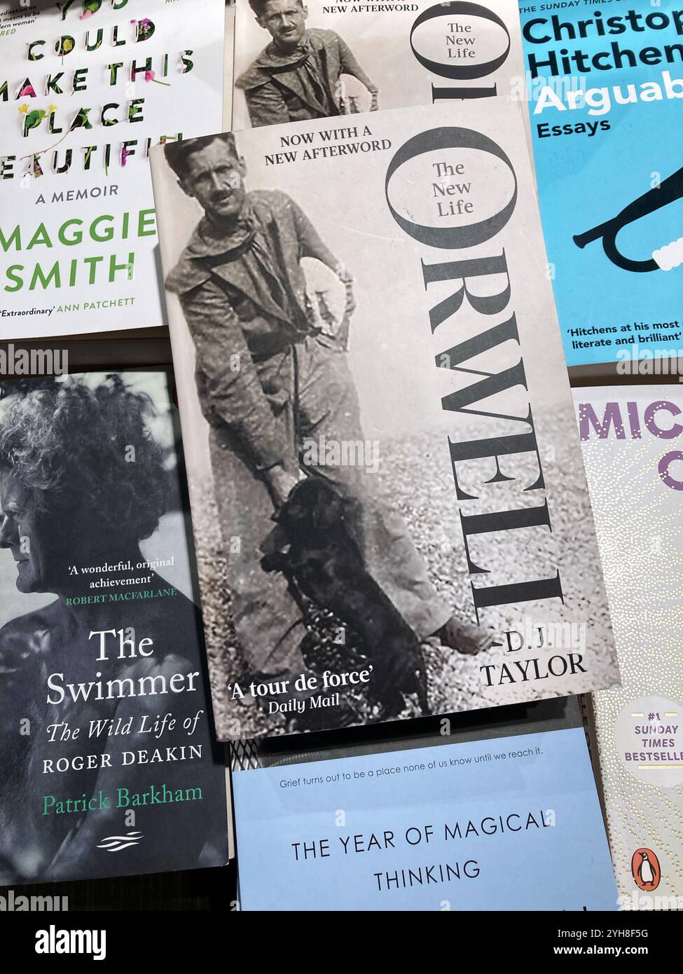 Orwell biography by DJ Taylor, The New Life, for sale at the local book store - Smartphone Captured Stock Image