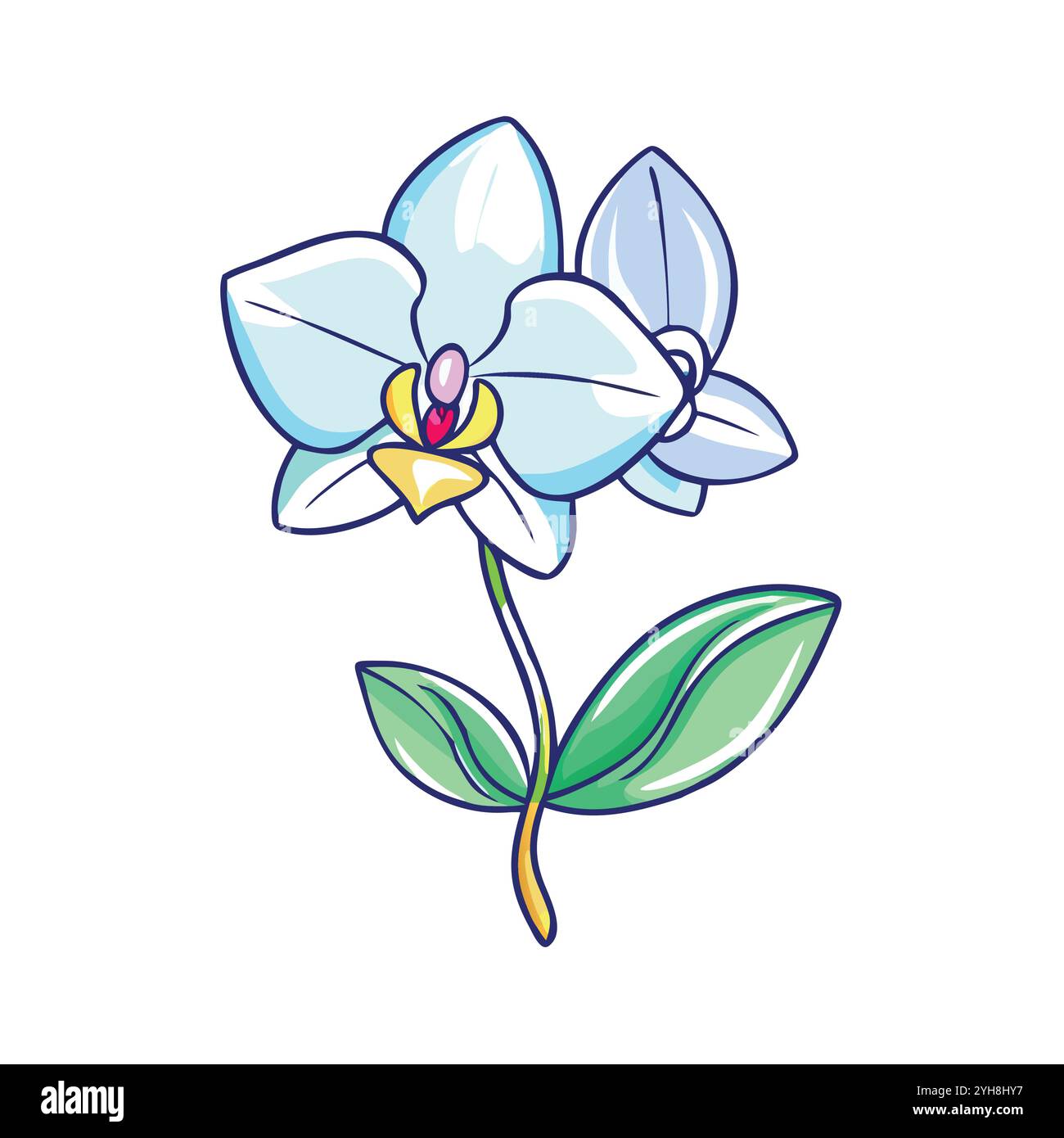 vector illustration of a orchid flower, for floral designs, botanical ...