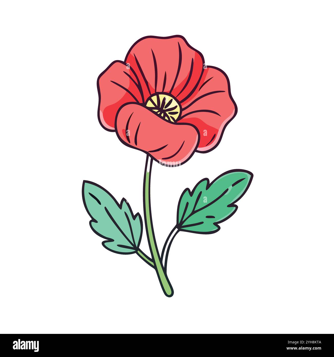 vector illustration of a poppy flower, for floral designs, botanical ...