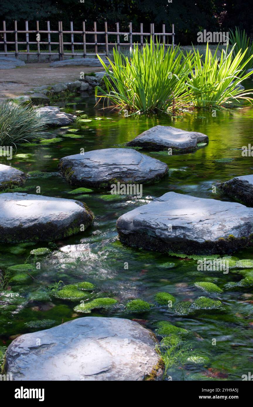 Steppingstones crossing a stream at Ritsurin Koen Japanese Garden in Takamatsu, Kagawa, Japan. Stock Photo