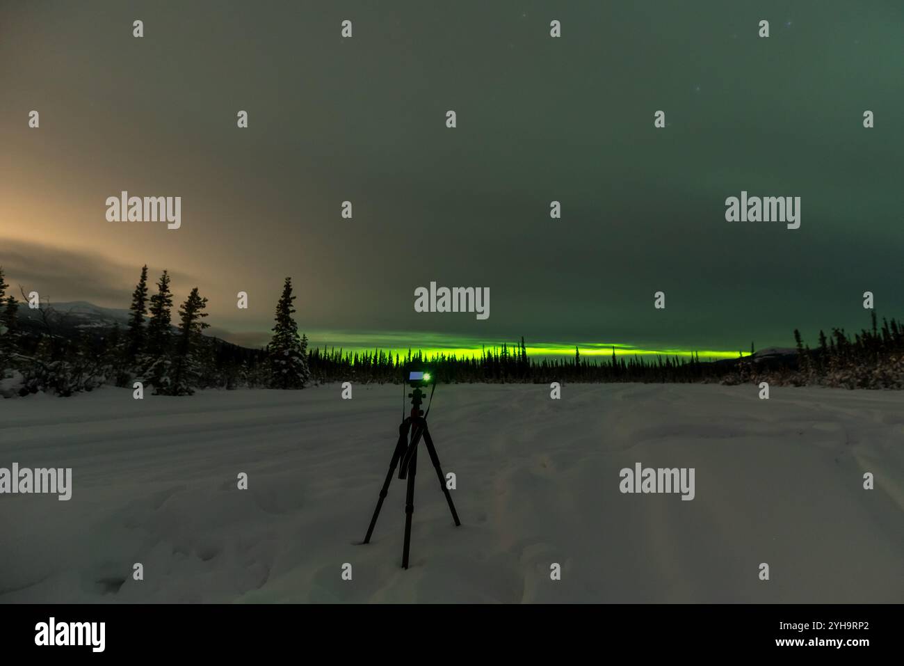 Winter night time landscape northern Canada with full cloud cover, wilderness glowing lights in the background with aurora borealis, northern lights Stock Photo