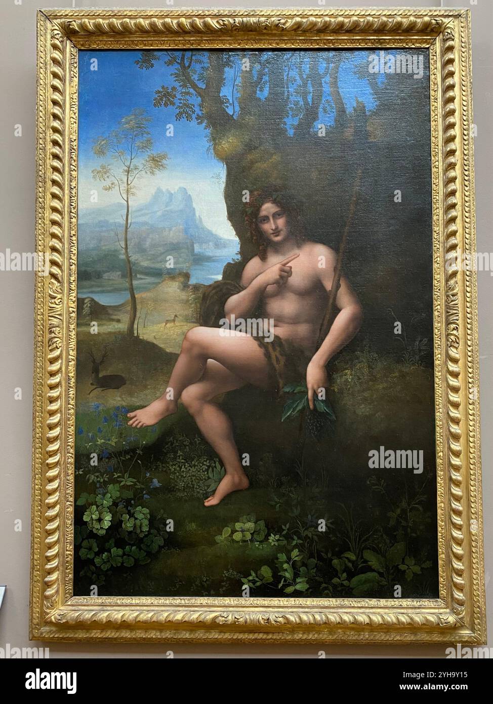 Bacchus or Saint John the Baptist by Leonardo da Vinci 1517-1520 restored - Smartphone Captured Stock Image