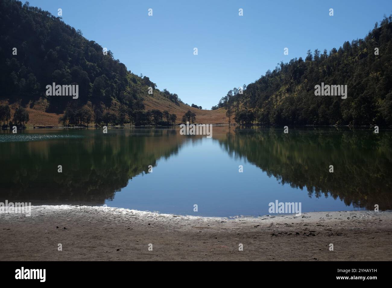 Semeru Ranu Semeru mountain beautiful trees in hi-res stock photography and images ...