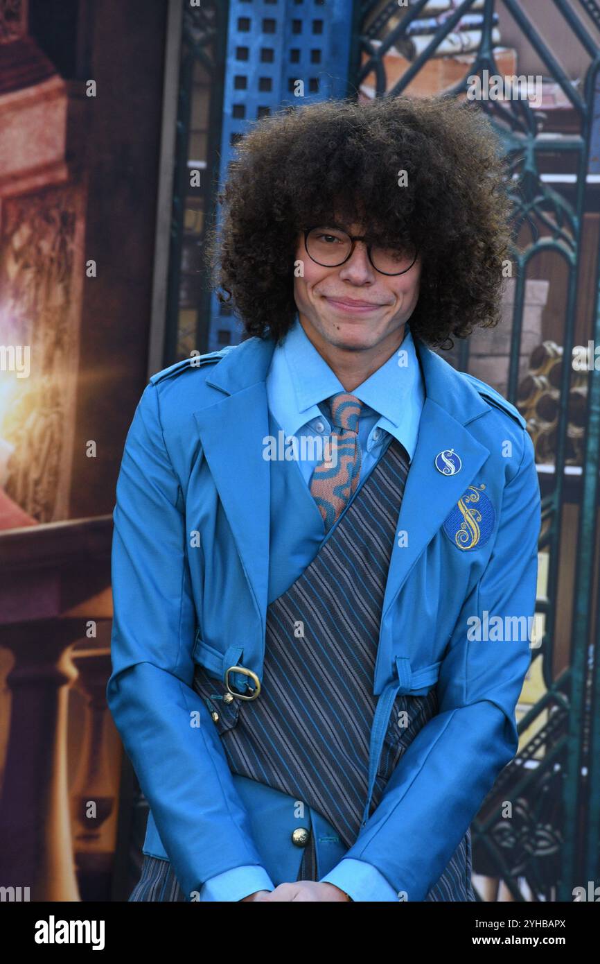 Los Angeles, California, USA 9th November 2024 Actor Reece Feldman ...