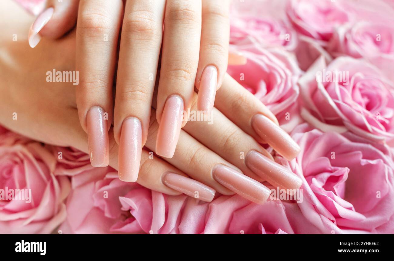 Delicate hands showcase beautifully manicured long nails, complemented by lush pink roses creating a serene and elegant atmosphere. Stock Photo