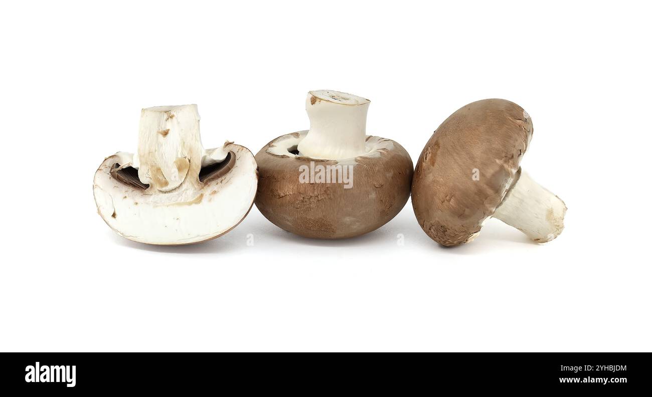 Fresh cremini mushrooms arranged on a clean white background showcasing