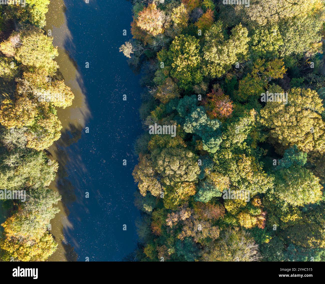 Top down aerial view of Raby Mere lake on the Wirral during Autumn ...