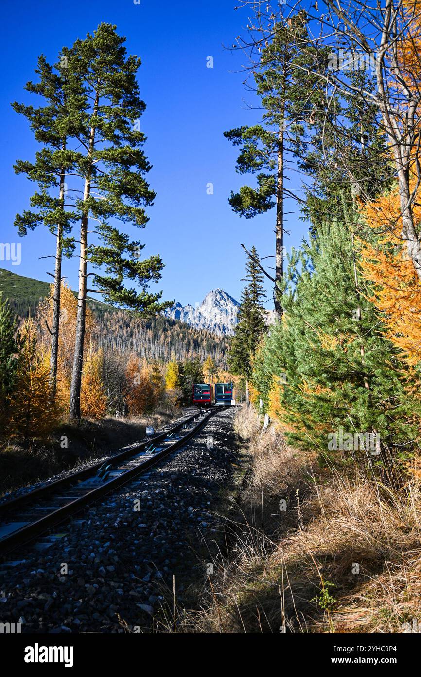 Climbing scenic trees hi-res stock photography and images - Alamy
