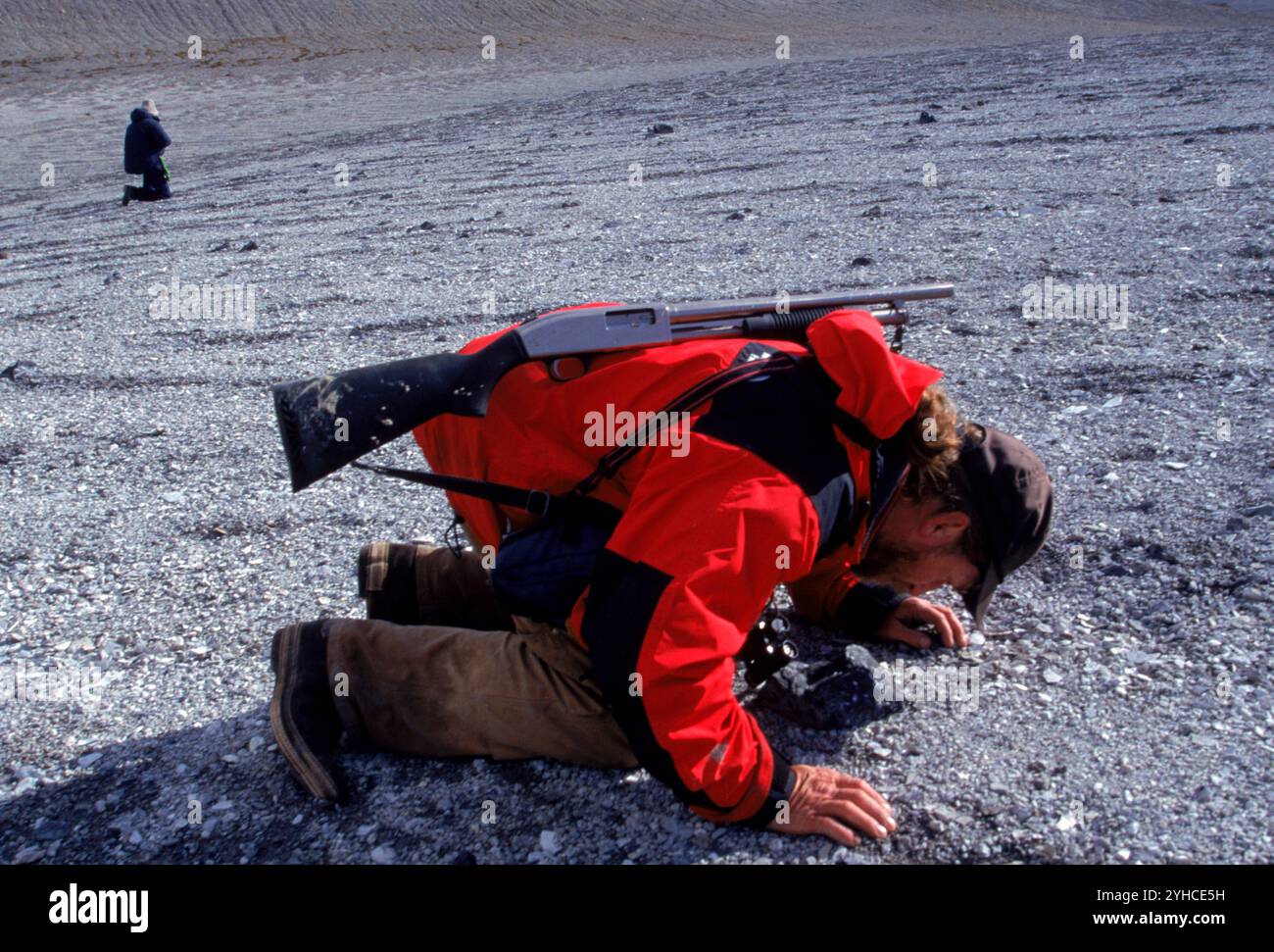 Man collecting rocks, Canada Stock Photo - Alamy