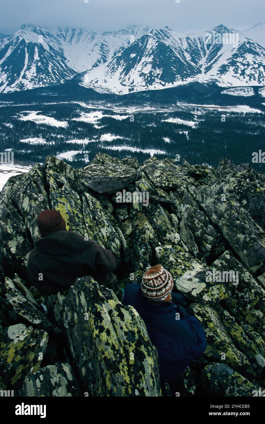 Russia forest aerial hi-res stock photography and images - Alamy