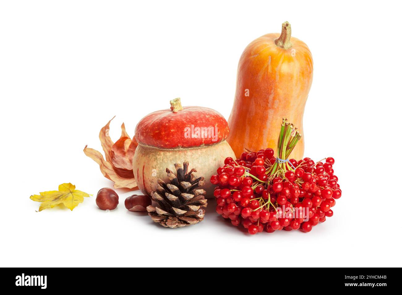 Autumn display with pumpkin and leaves isolated on white background ...
