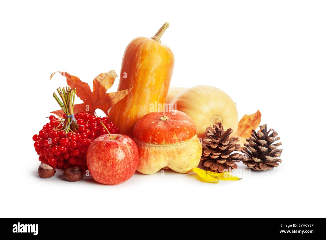 Autumn display with pumpkin and leaves isolated on white background ...