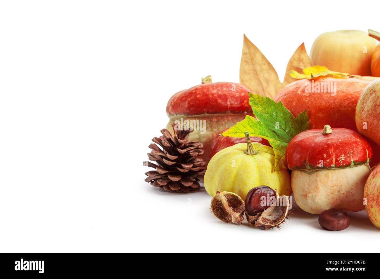 Autumn display with pumpkin and leaves isolated on white background ...