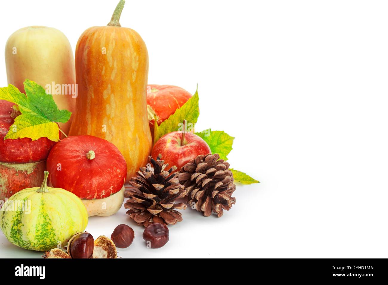 Autumn display with pumpkin and leaves isolated on white background ...