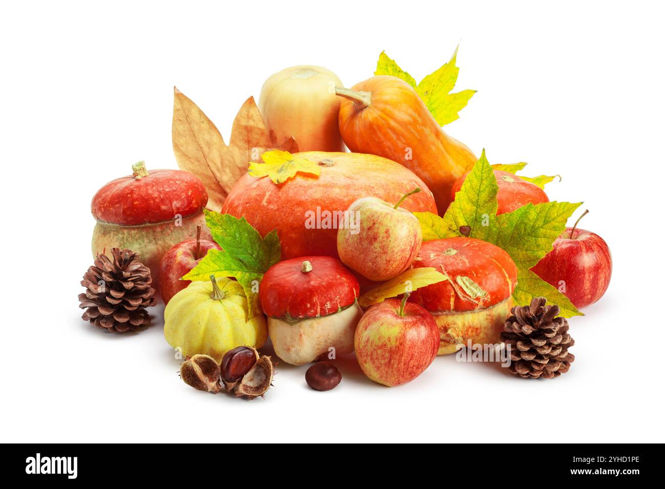 Autumn display with pumpkin and leaves isolated on white background ...