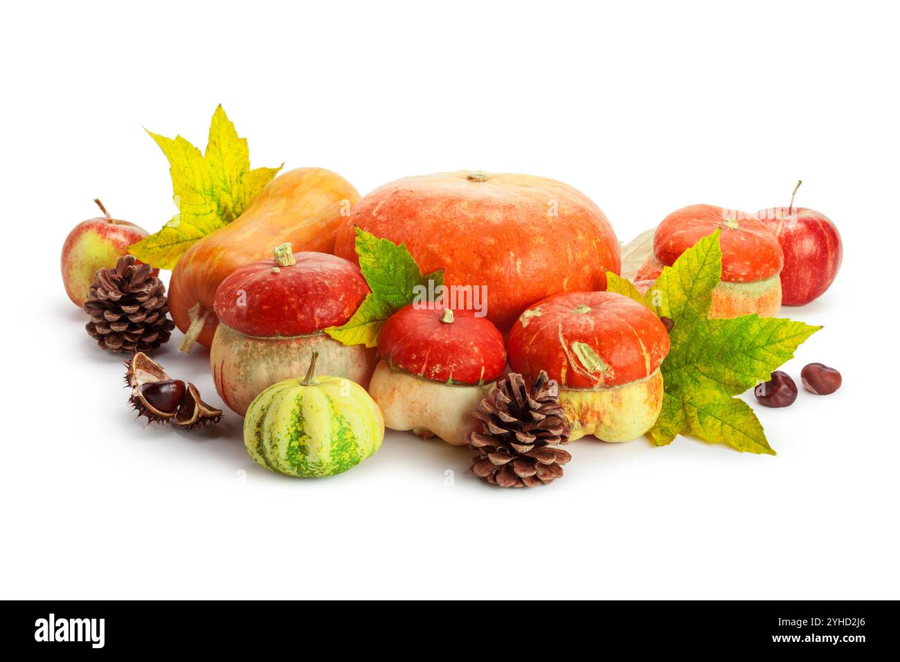 Autumn display with pumpkin and leaves isolated on white background ...