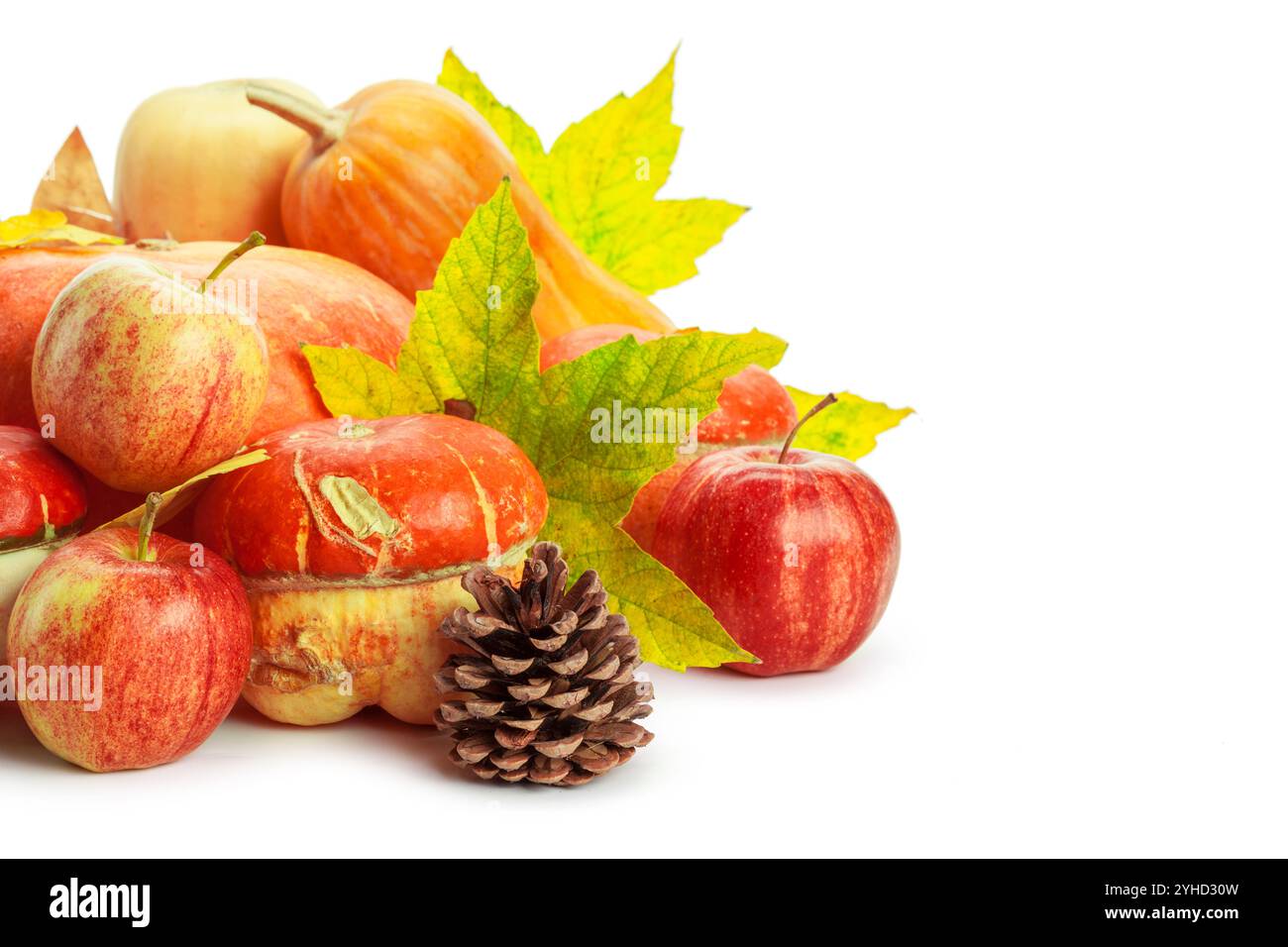 Autumn display with pumpkin and leaves isolated on white background ...