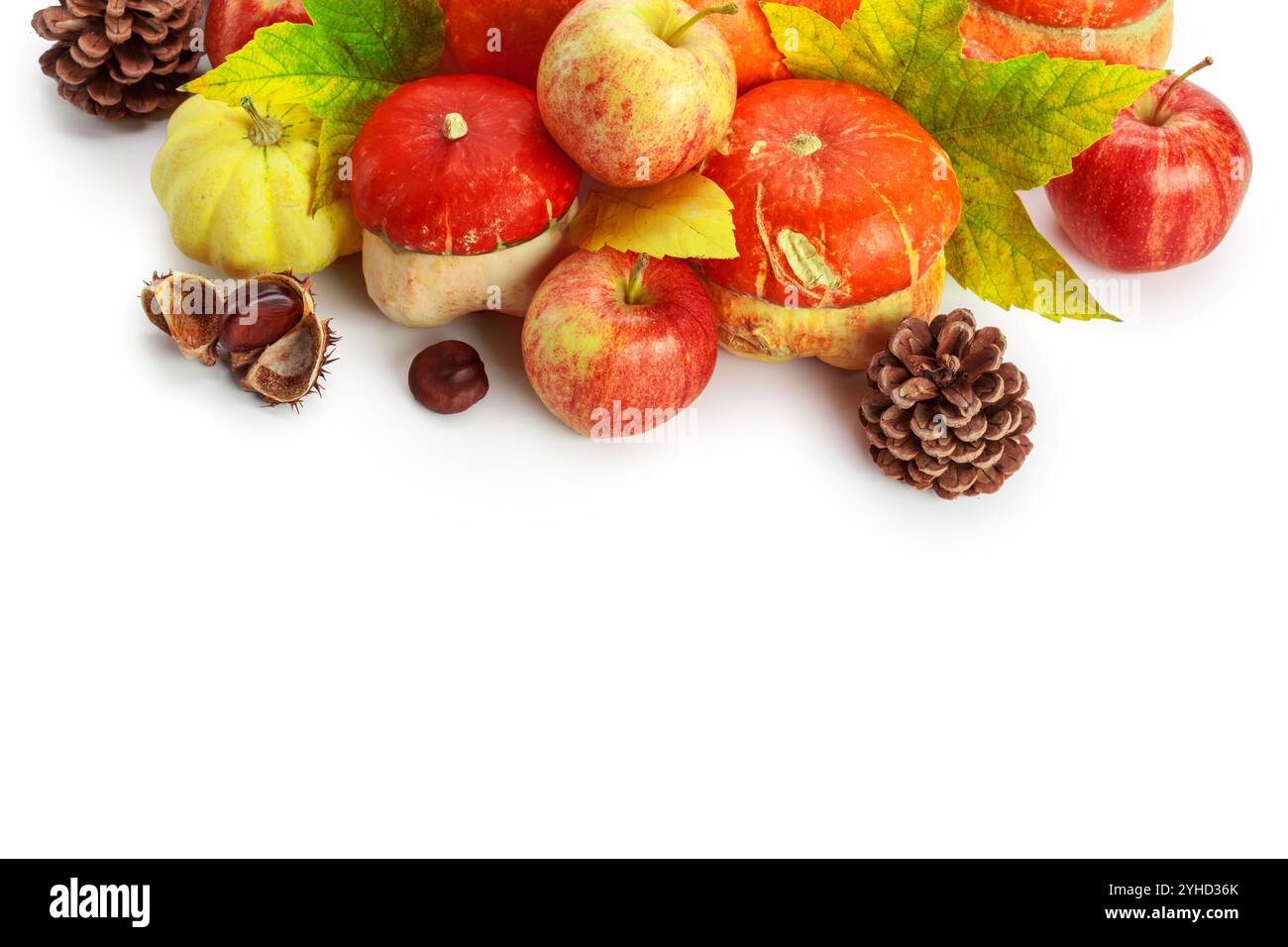 Autumn display with pumpkin and leaves isolated on white background ...