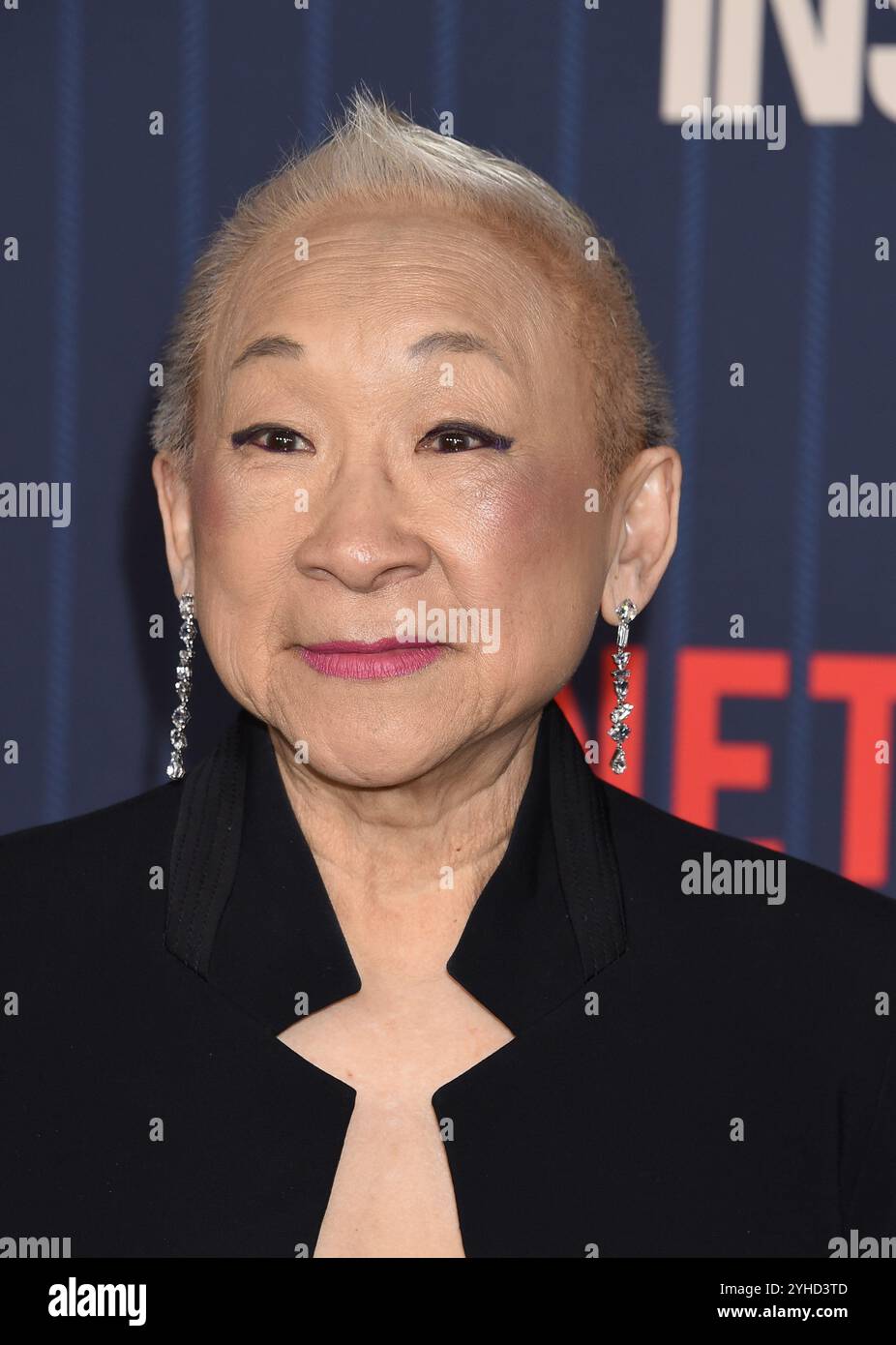 Los Angeles, USA. 10th Nov, 2024. Lori Tan Chinn arriving to the “A Man On The Inside” Premiere Event held at the Tudum Theater in Los Angeles, CA on November 10, 2024. © Janet Gough/AFF-USA.COM Credit: AFF/Alamy Live News Stock Photo