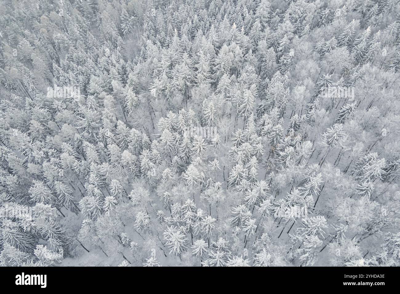 Top view snowy country hi-res stock photography and images - Alamy
