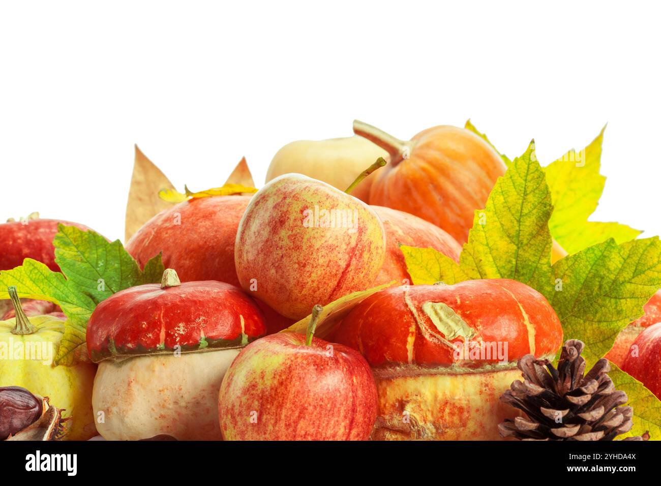 Autumn display with pumpkin and leaves isolated on white background ...