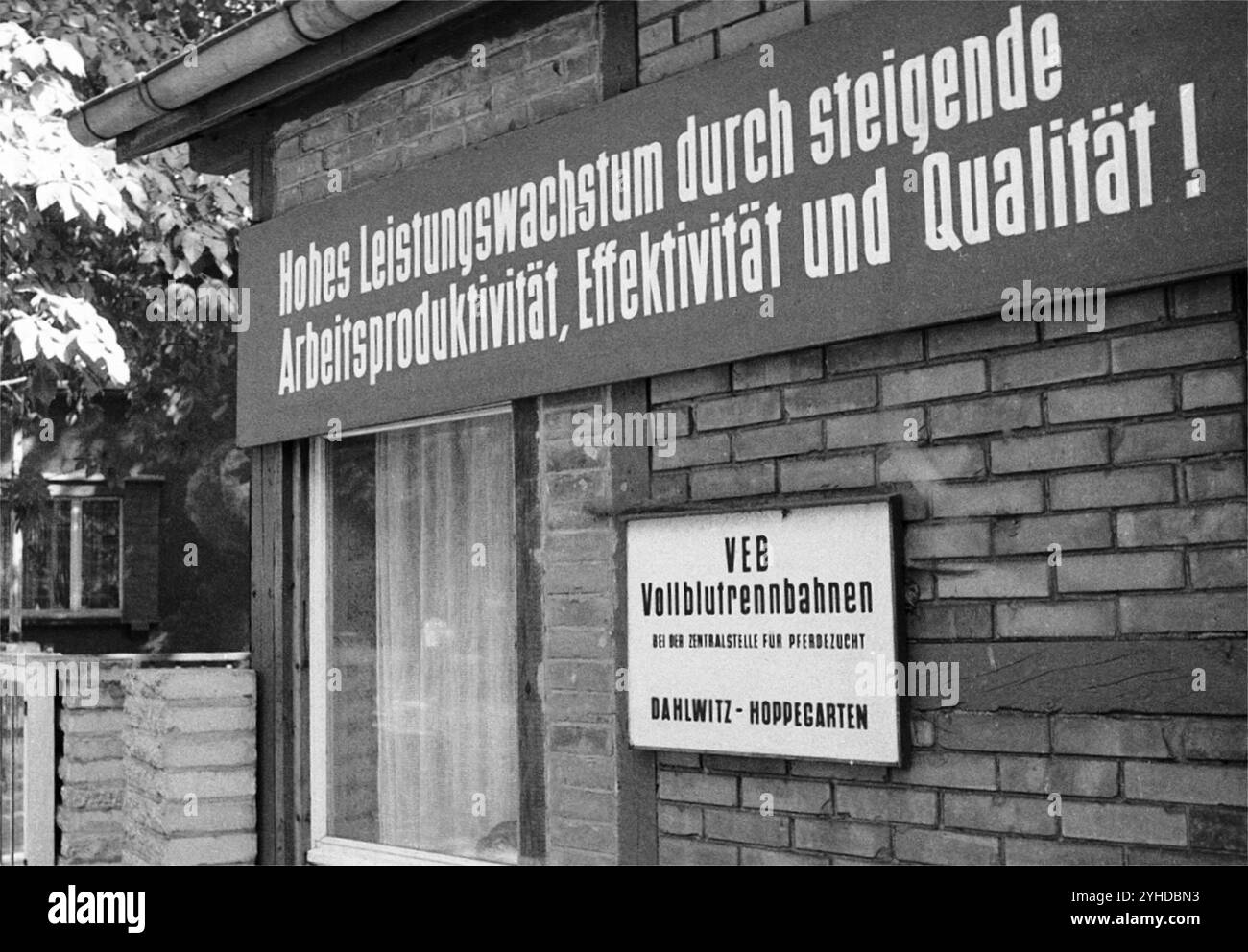jobangebote frankfurt oder