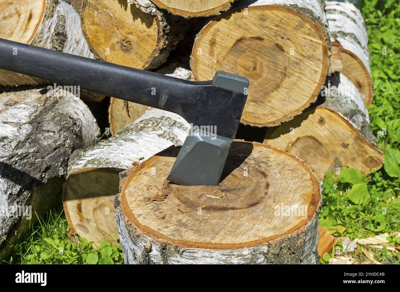 New modern ax stuck in a large birch deck Stock Photo
