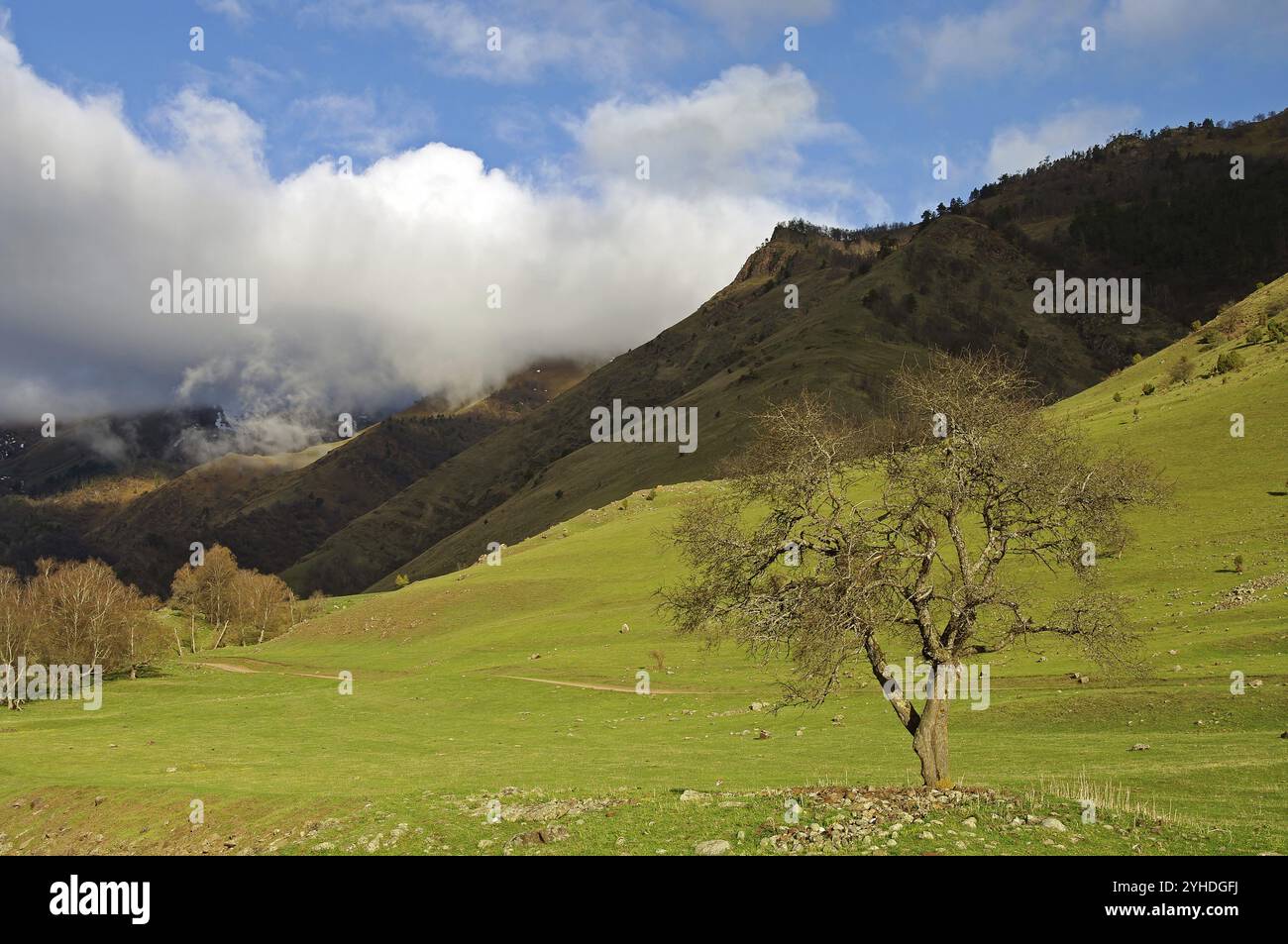 Russia landscape spring hi-res stock photography and images - Alamy