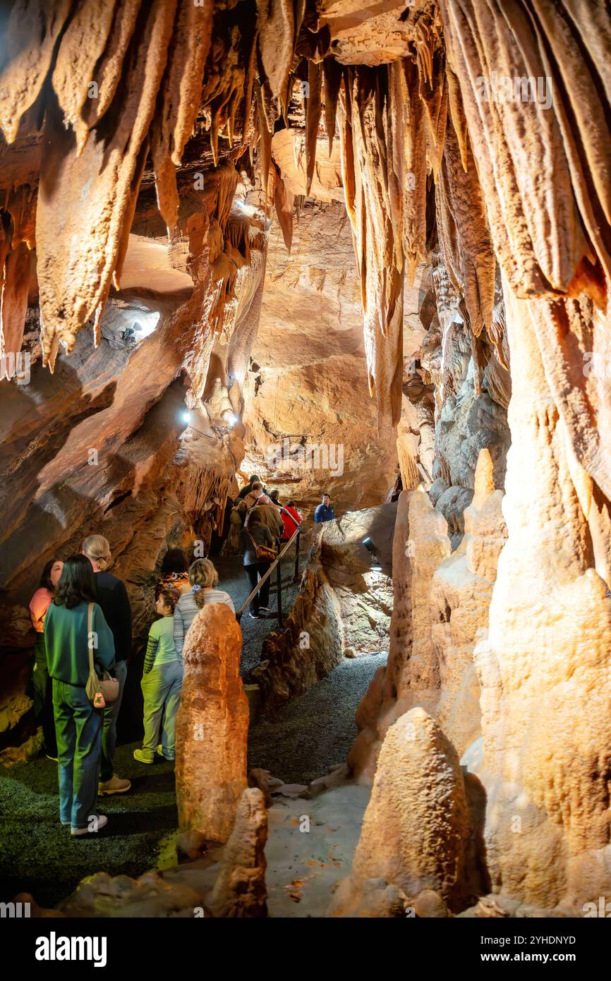 Shenandoah Caverns Cave Formations Quicksburg Virginia // QUICKSBURG, Virginia — Shenandoah Caverns, discovered in 1884 during railroad quarrying operations on Abraham Neff's property, features extensive limestone cave formations accessible by elevator. The caverns, developed for tourism in 1922 by Hunter Chapman, remain the only show cave in Virginia with elevator access. The cave system showcases natural formations including stalactites, stalagmites, and flowstone throughout its developed passageways. Stock Photo