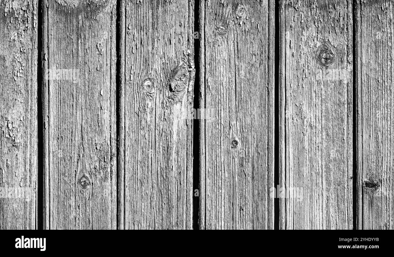 Old grungy wooden wall with white peeling paint, abstract black and ...