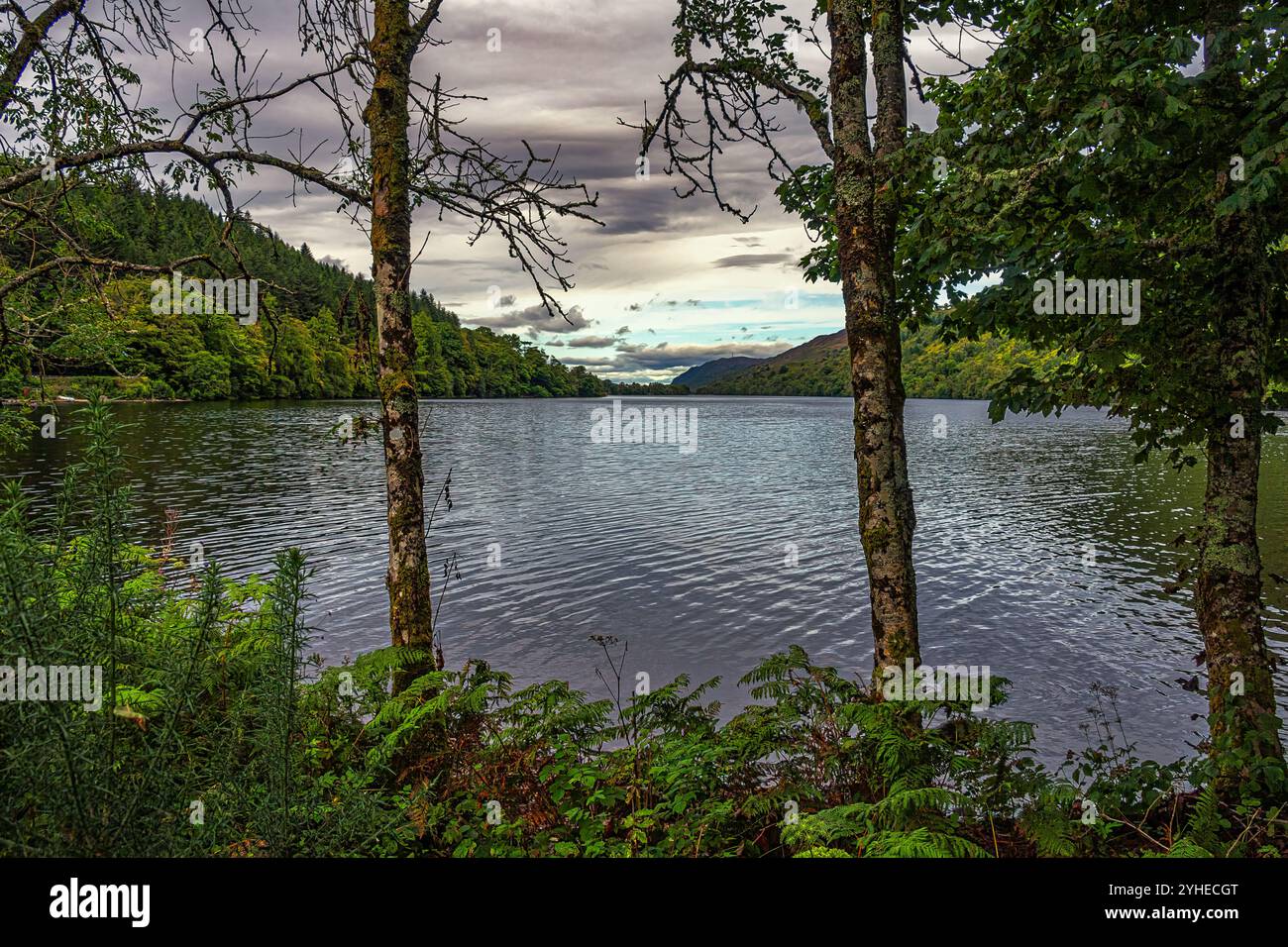 Loch Oich is a picturesque freshwater loch in the Scottish Highlands, United Kingdom. It is part of the famous Caledonian Canal. Scotland, United King Stock Photo