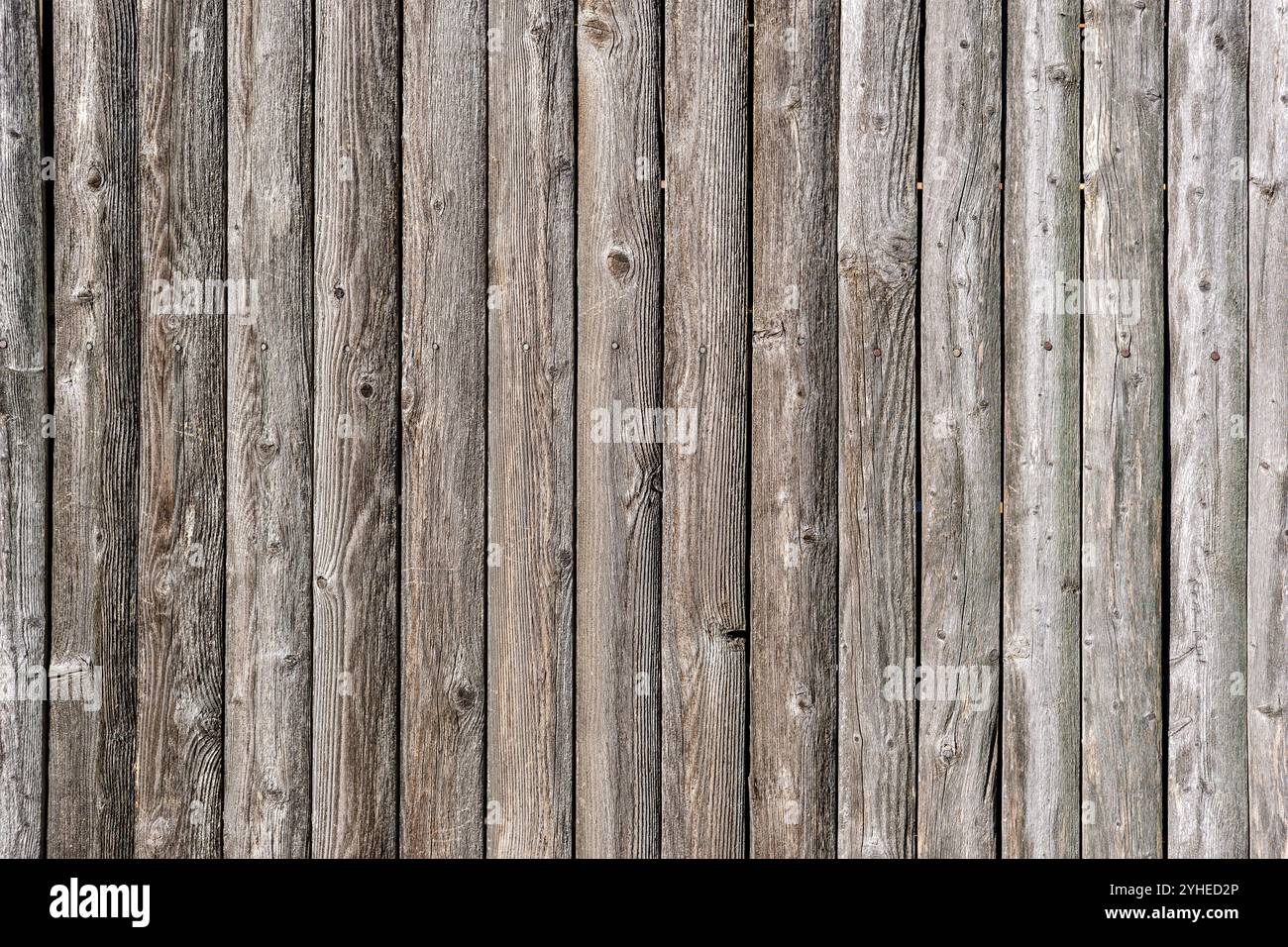 Background from a gray and worn plank wall Stock Photo