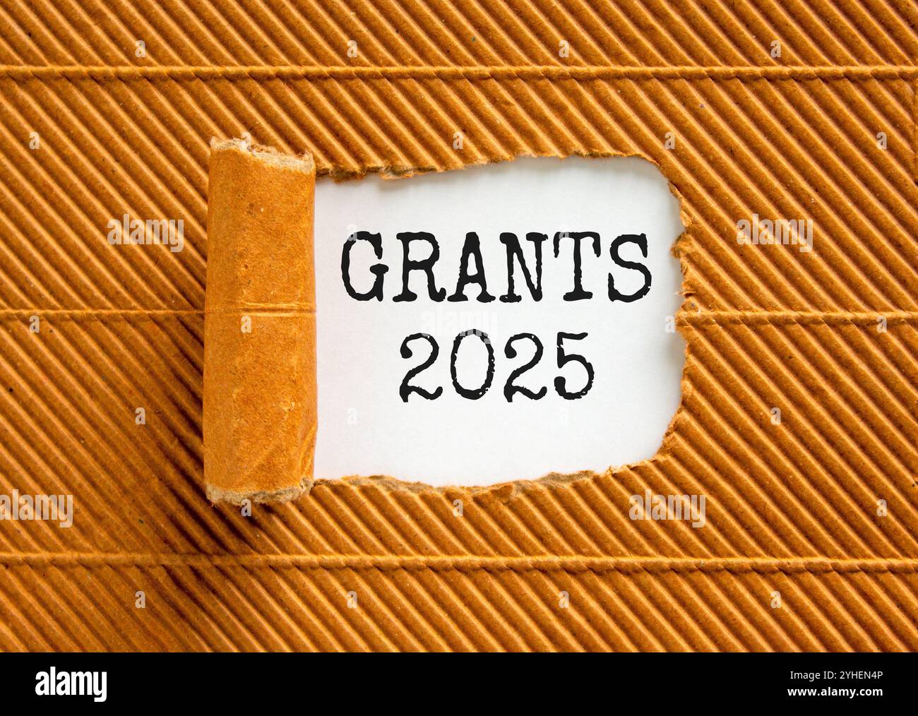 Planning grants 2025 new year symbol. Concept words Grants 2025 on beautiful white paper