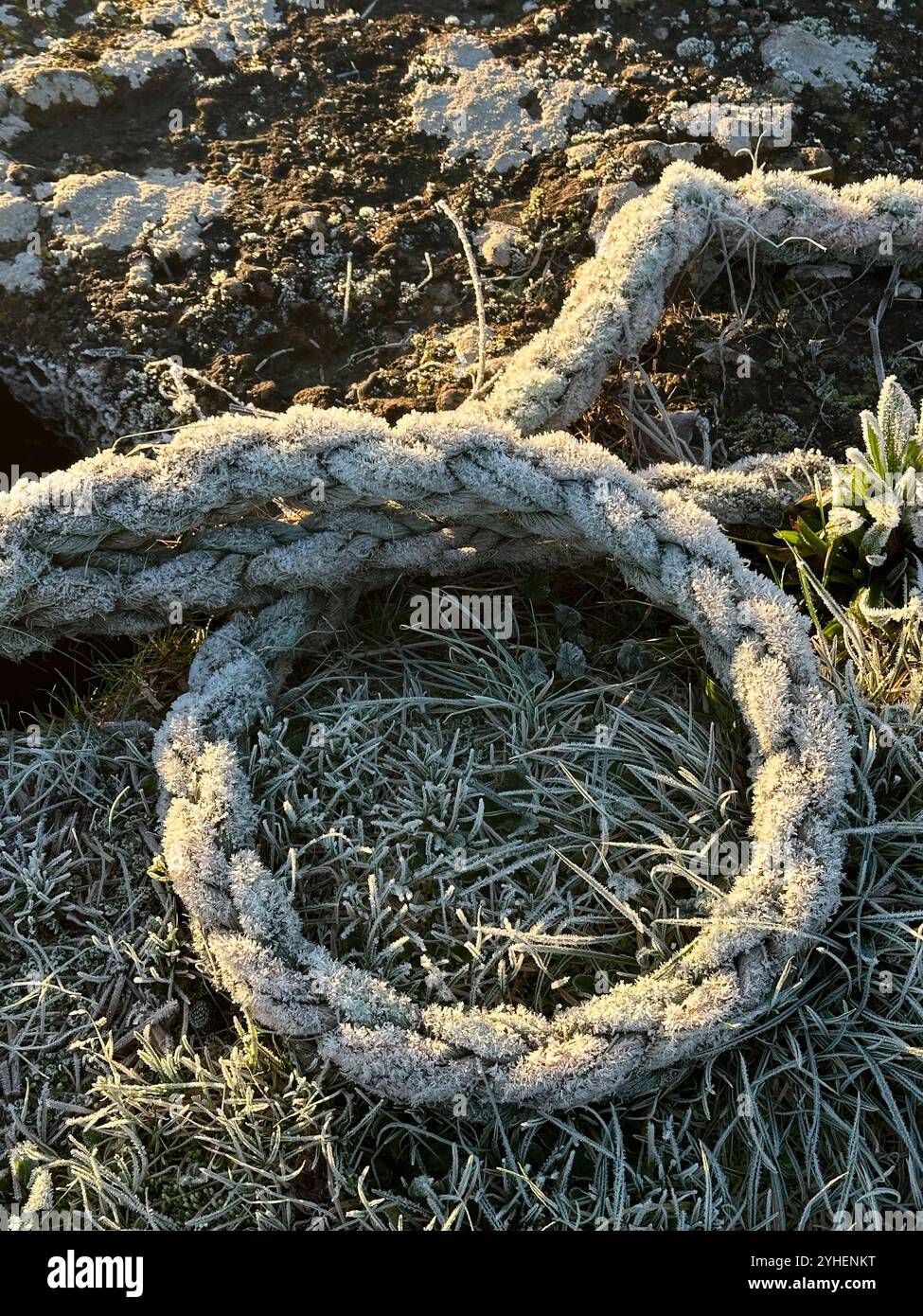 Frozen Rope - Smartphone Captured Stock Image